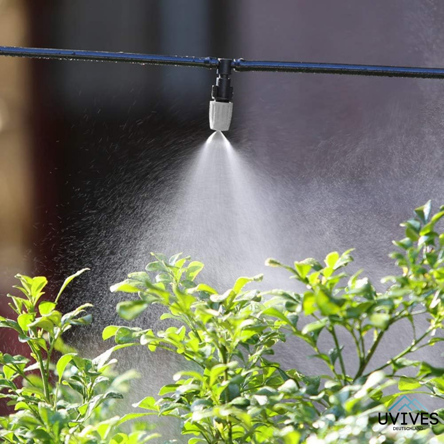 Carvallo Pro – Maximal avkastning med minimal ansträngning (20-pack)