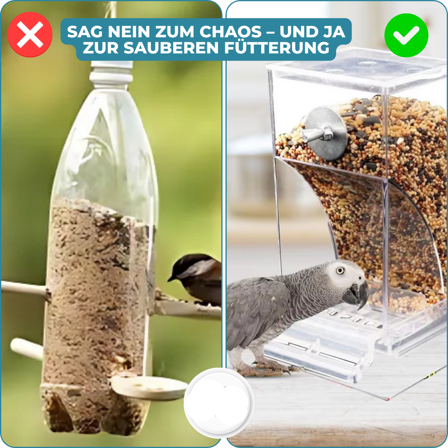 Carvallo – Ren utfodring, nöjda fåglar, mindre ansträngning