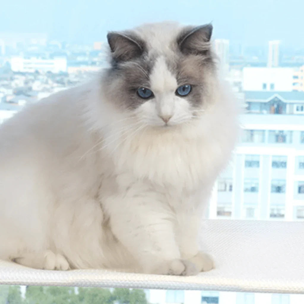 PurrNook – Fällbar Fönster katt-hängmatta med Lätt att rengöra överdrag och säker stöd