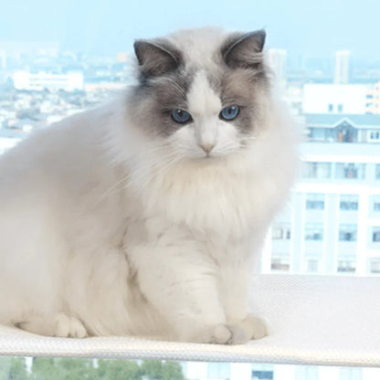 PurrNook – Fällbar Fönster katt-hängmatta med Lätt att rengöra överdrag och säker stöd