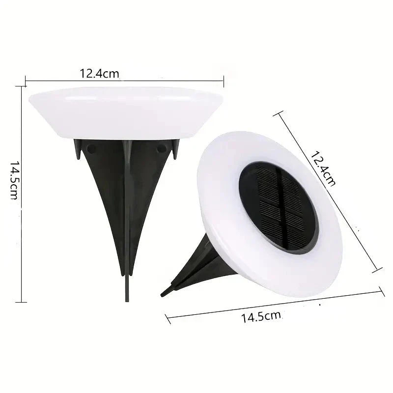 Carvallo - Stiliga sol havljus för obekymrad elegans