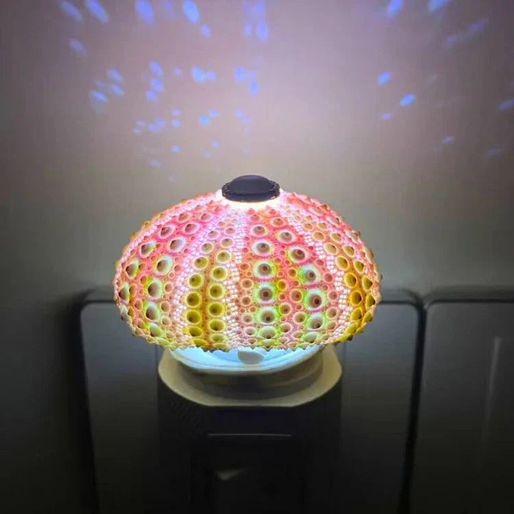 Kreativ DIY Sjöborre Lampa