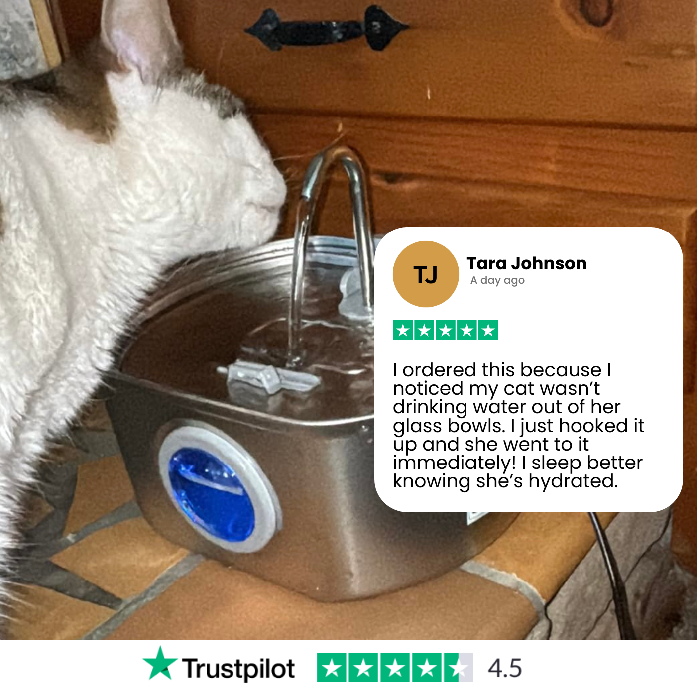 Carvallo Kattens Drickfontän i rostfritt stål | Strömmande vatten för bättre hydrering | Tyst & Hygienisk | 2,5 L kapacitet