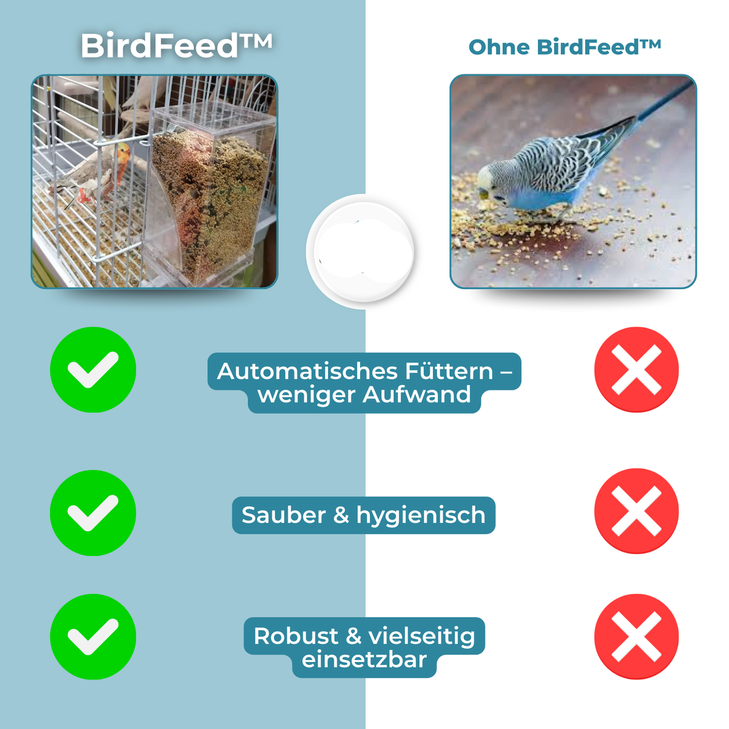 Carvallo – Ren utfodring, nöjda fåglar, mindre ansträngning