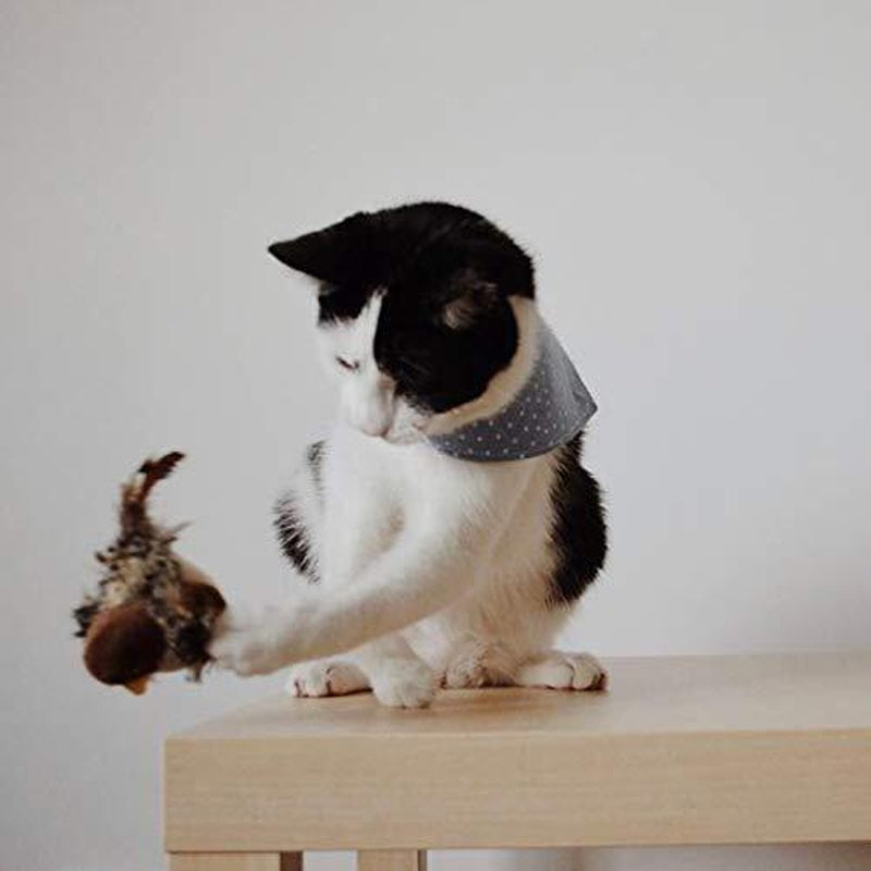 Carvallo - Den säkra leksaken för din katt!