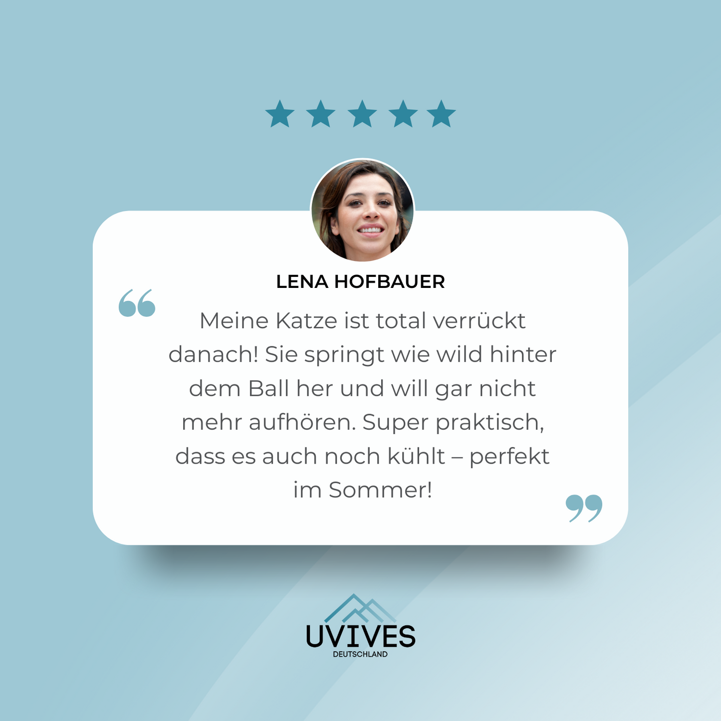 Carvallo – Den svävande spelglädjen för innekatter!