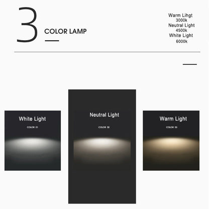 BearBright - Lekfull LED Vägglampa med Björn Design