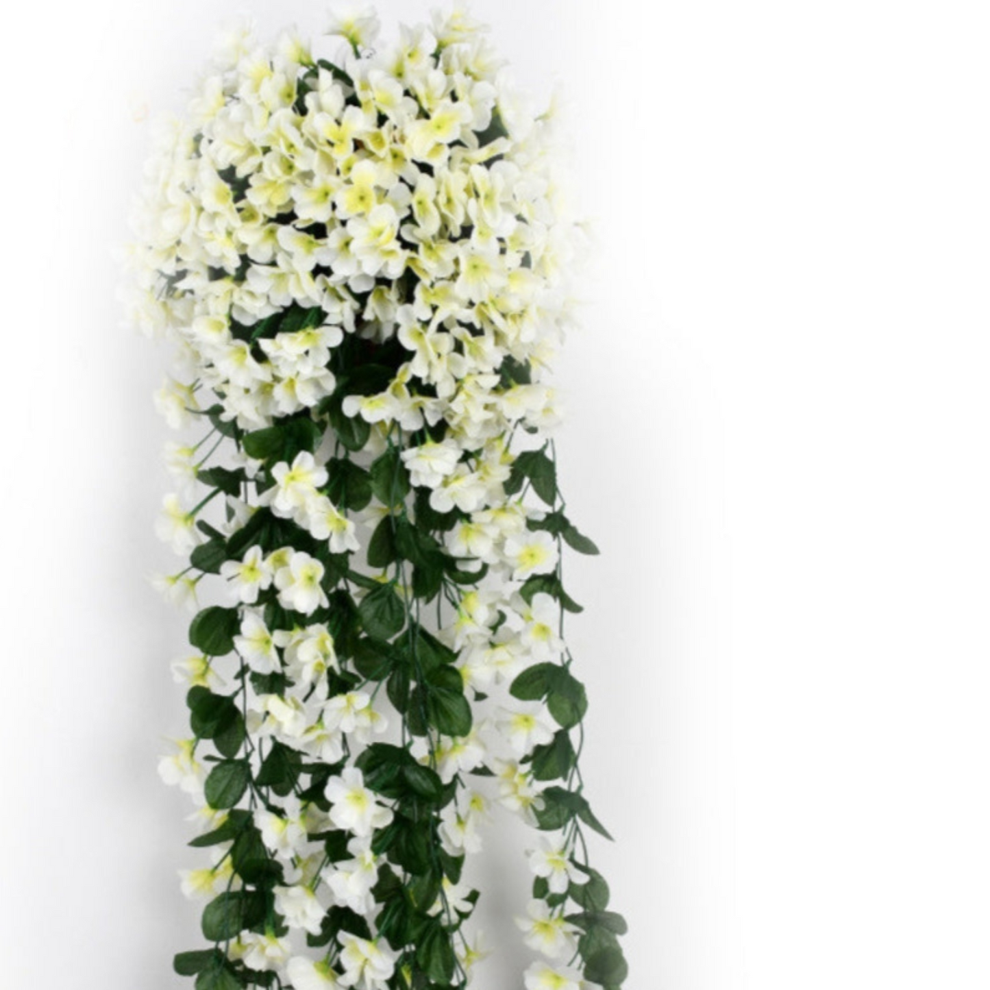 Carvallo – Naturlig elegans, ständigt fräsch [Sista dagen rabatt]