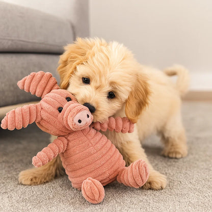 Hundleksak Pluffig Squeaky Tuggedyr