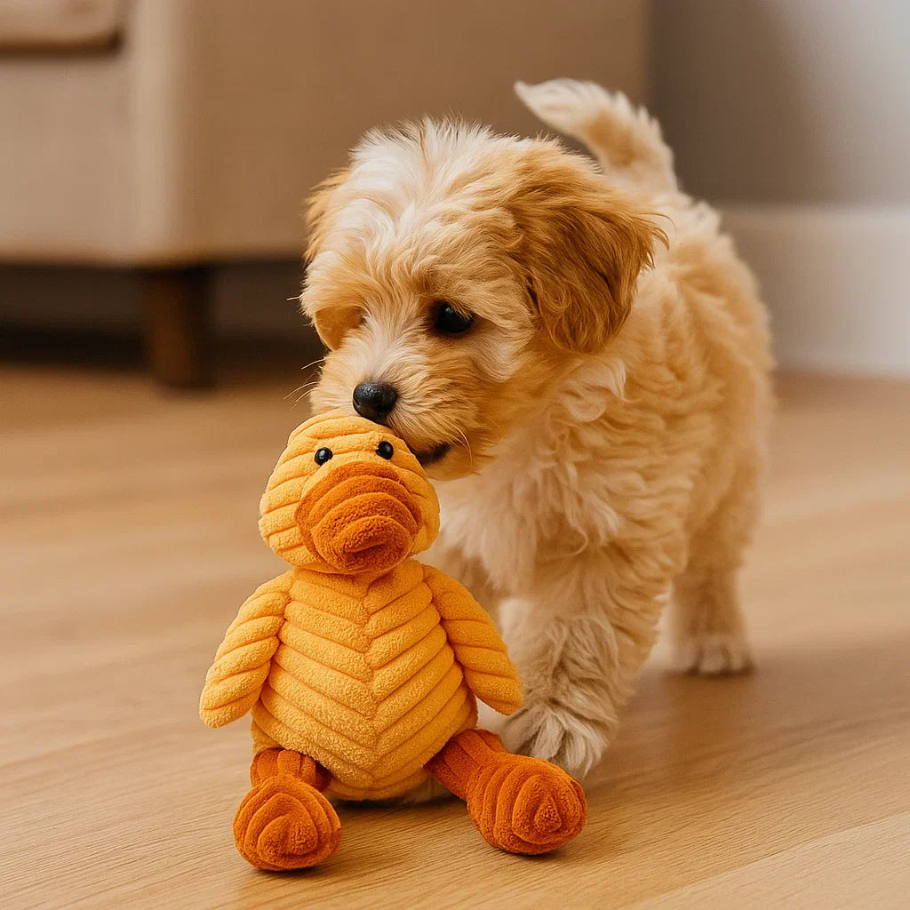 Hundleksak Pluffig Squeaky Tuggedyr