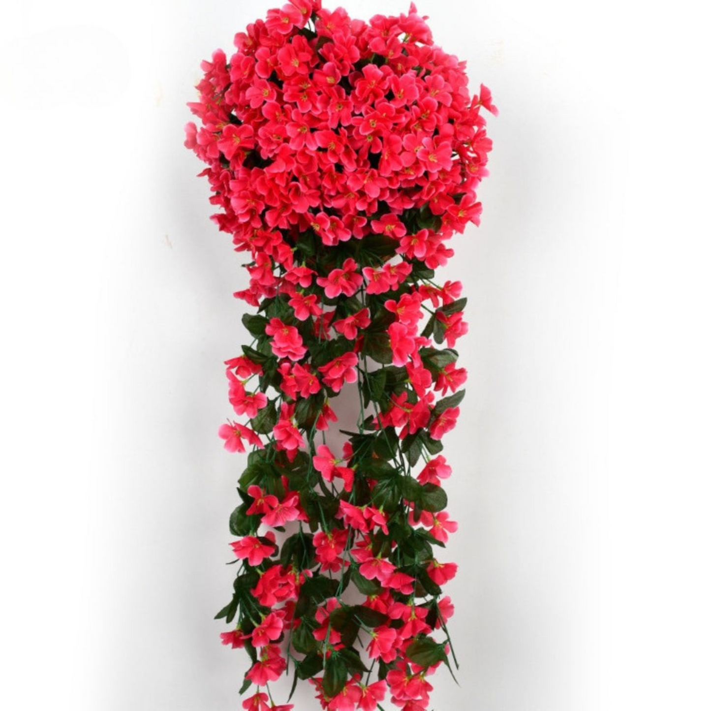 Carvallo – Naturlig elegans, ständigt fräsch [Sista dagen rabatt]