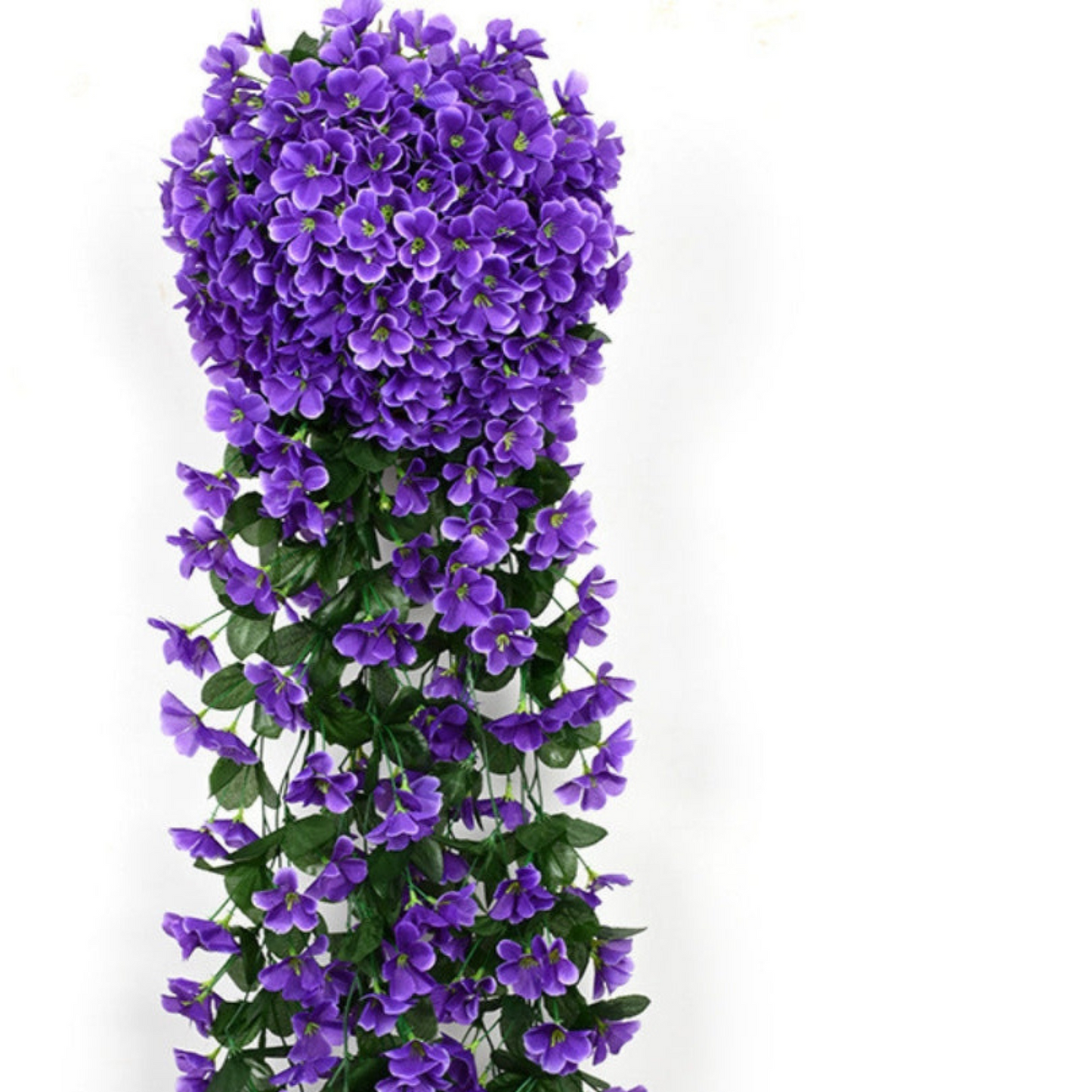 Carvallo – Naturlig elegans, ständigt fräsch [Sista dagen rabatt]