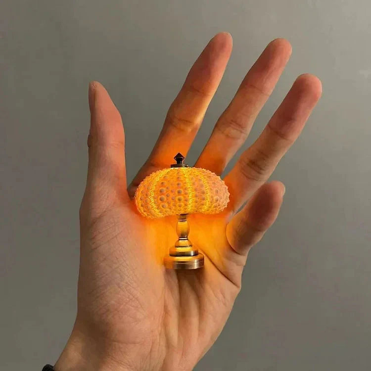 Kreativ DIY Sjöborre Lampa