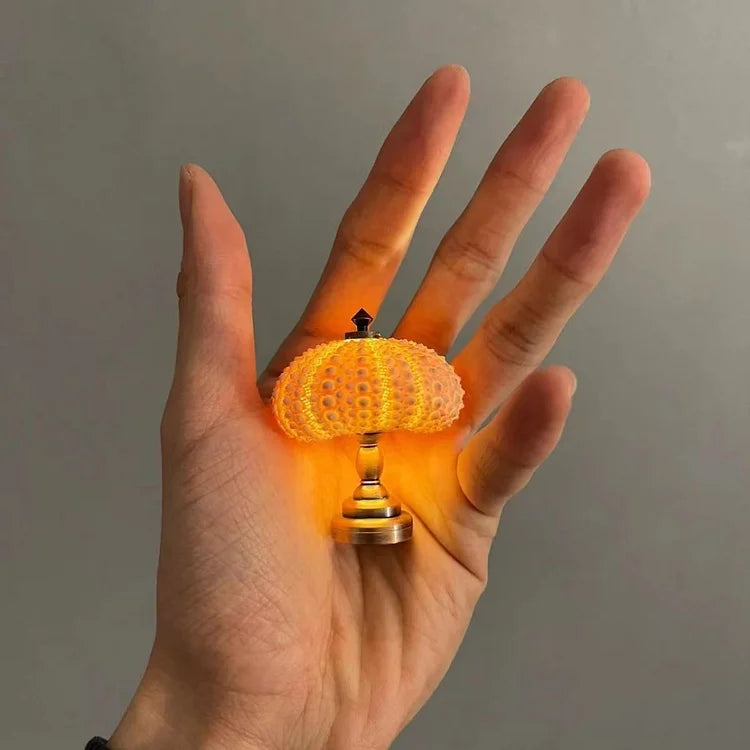 DIY Zee-egel bordslampa