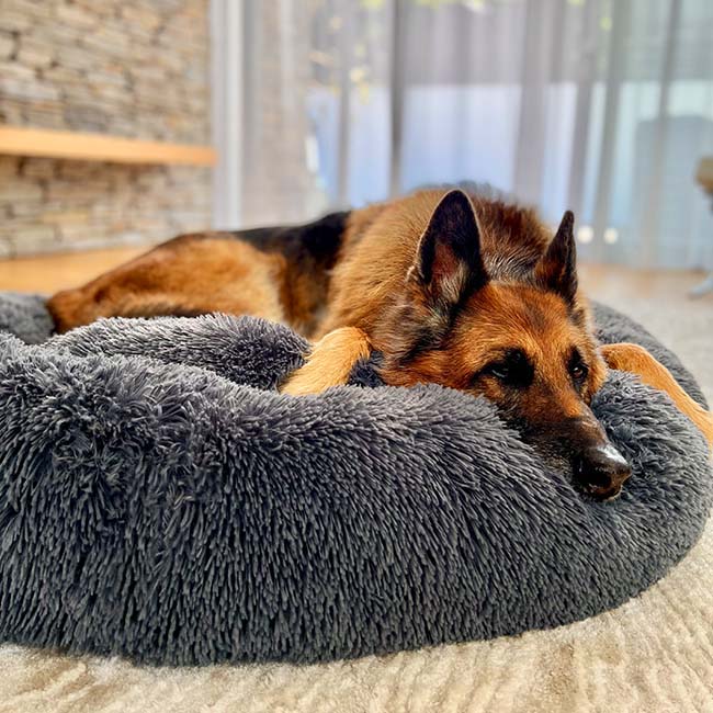 Ortopedisk Plush Donut Hundsäng