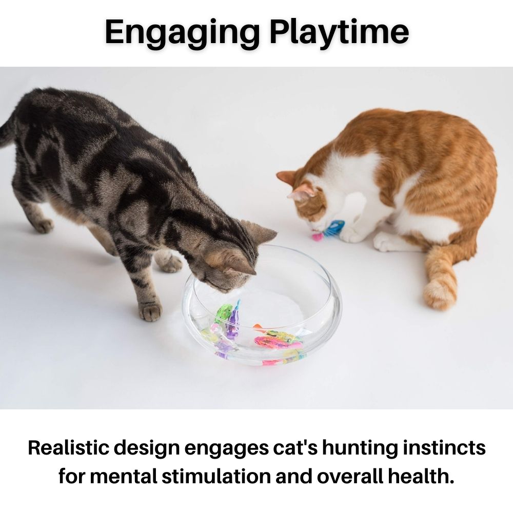 Carvallo Interaktivt kat leksak-set med ljus & simfunktion | Vattentät & rörelseaktiverad | För katter i alla åldrar | 20,3×7,6×5,1 cm