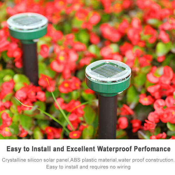 Carvallo | EcoRay – Sluta med skadedjur tack vare solkraft