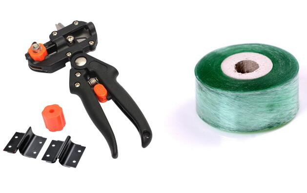 Förädling sax för trädgård – Precisa skärverktyg för ympning och förädling av växter