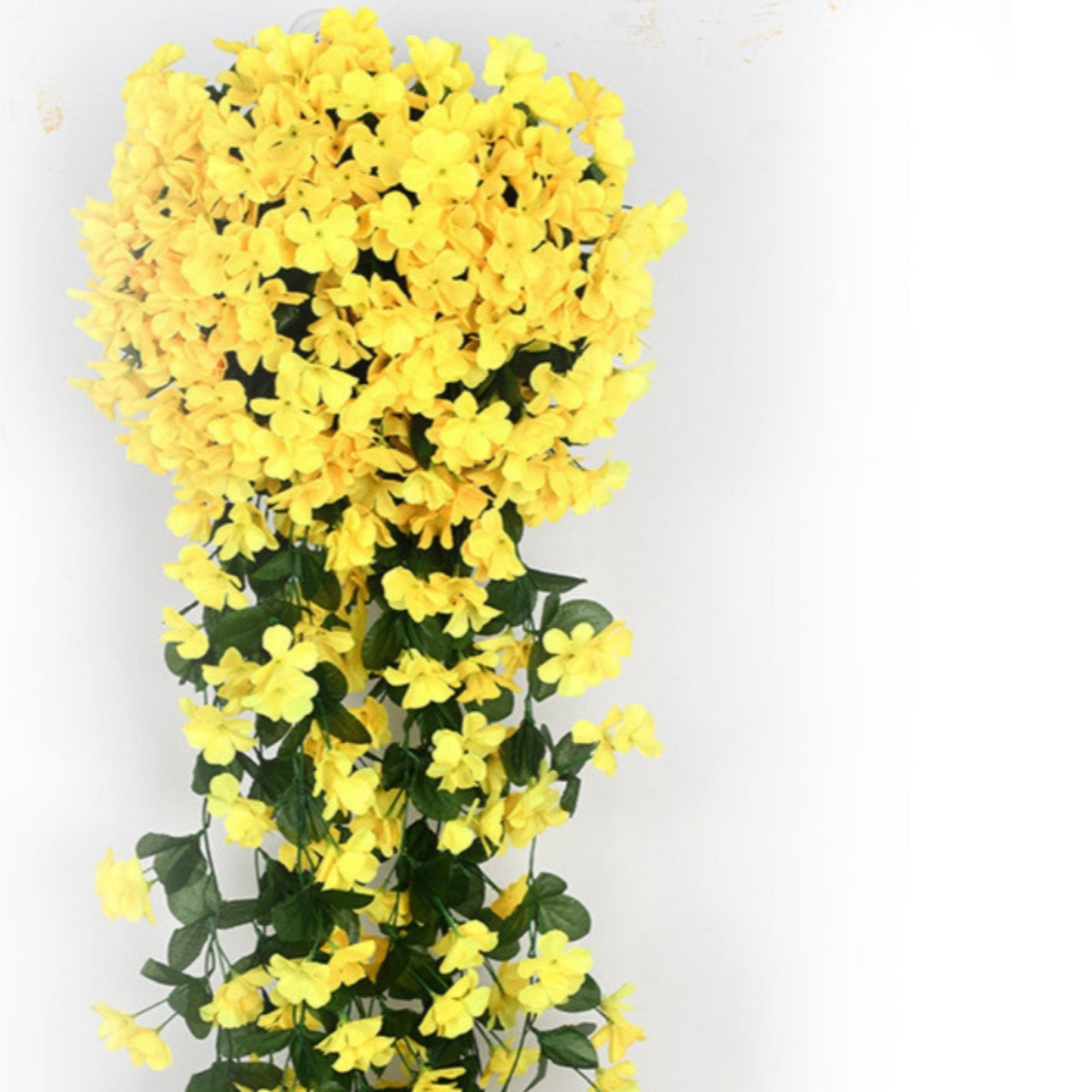 Carvallo – Naturlig elegans, ständigt fräsch [Sista dagen rabatt]