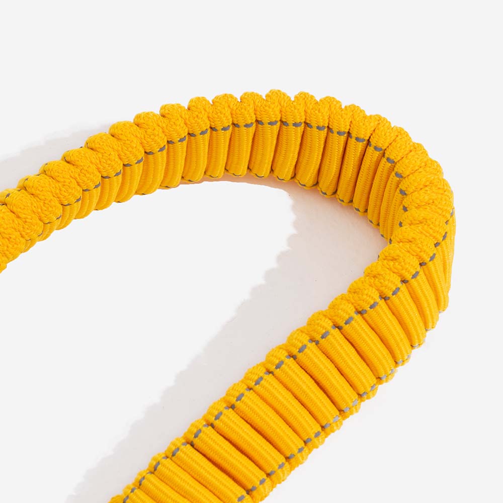 Hundbälte med justerbart säkerhetsband