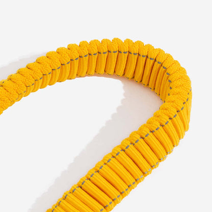 Hundbälte med justerbart säkerhetsband