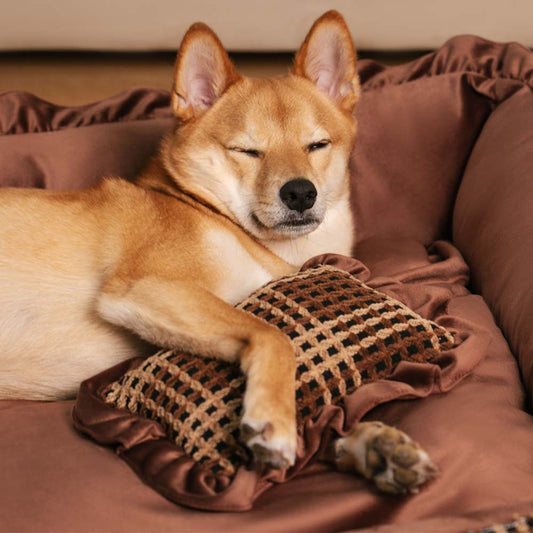 Bliss Bolster Ortopedisk Hundsäng Sammet Skum Stödjande Design