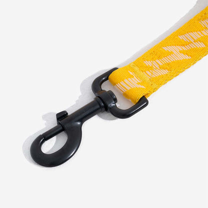 Hundbälte med justerbart säkerhetsband