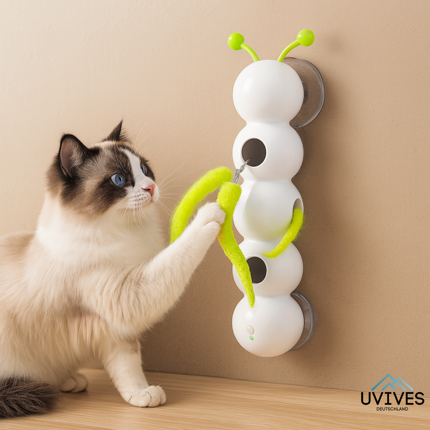 Carvallo – Jaga, leka, vara lycklig!