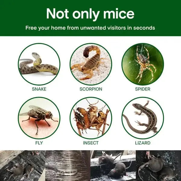 Carvallo – Giftfria klisterfällor mot skadedjur