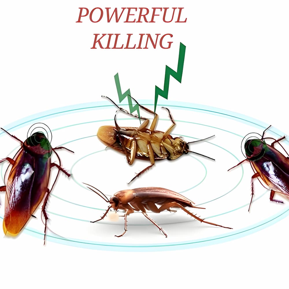 Carvallo | RoachShield – Sluta med skadedjur, helt utan kemikalier!