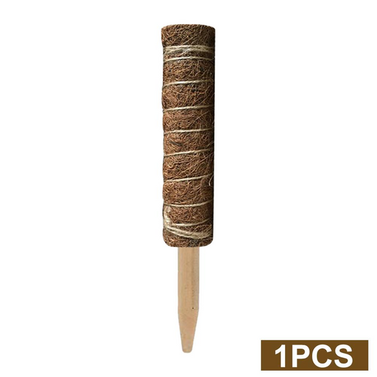 Kokosmoss Stativ för klätterväxter – Naturligt stöd för inomhusväxter och trädgård