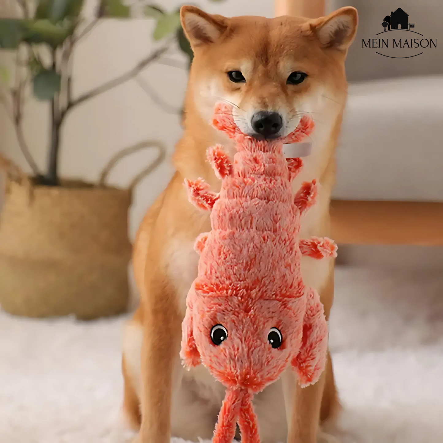 Carvallo – Den medspelare som tänker med