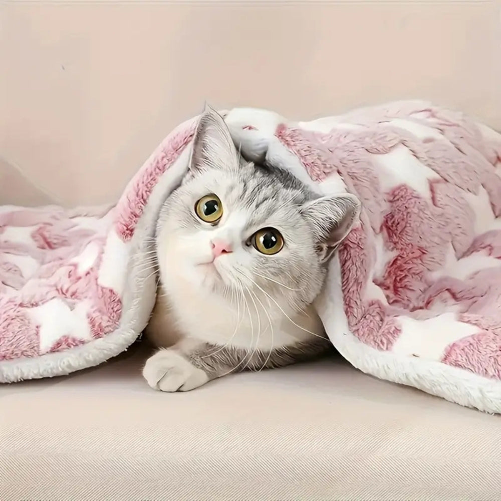 Snuggly Star Ultra-Varm Hundsäng