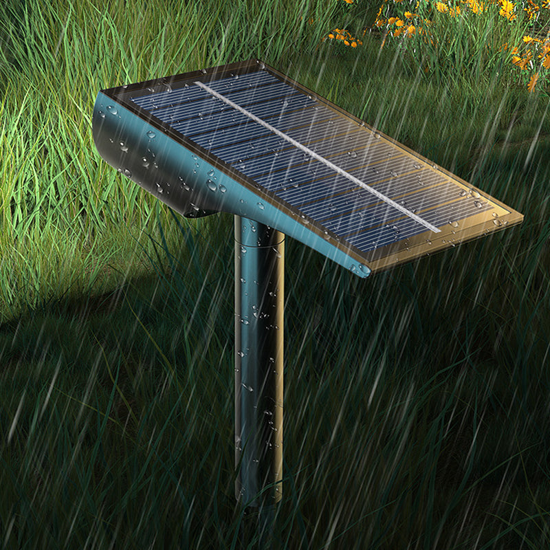 Carvallo Spot – Ljus som lever med solen