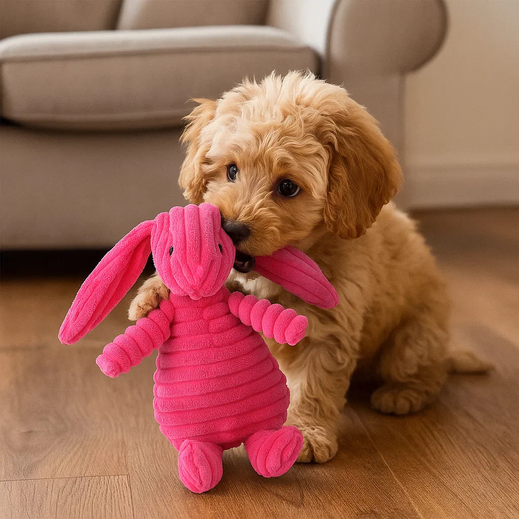 Hundleksak Pluffig Squeaky Tuggedyr