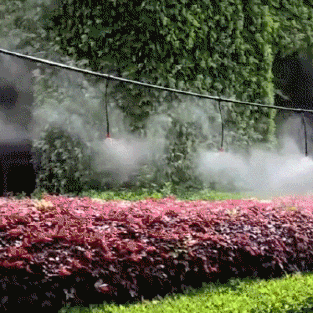 Carvallo – Friskhet & Vård för din trädgård