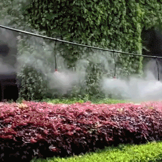 Carvallo – Friskhet & Vård för din trädgård