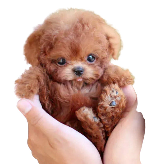 PetPal – Hyperrealistiskt Plysdjur med Interaktiva Funktioner