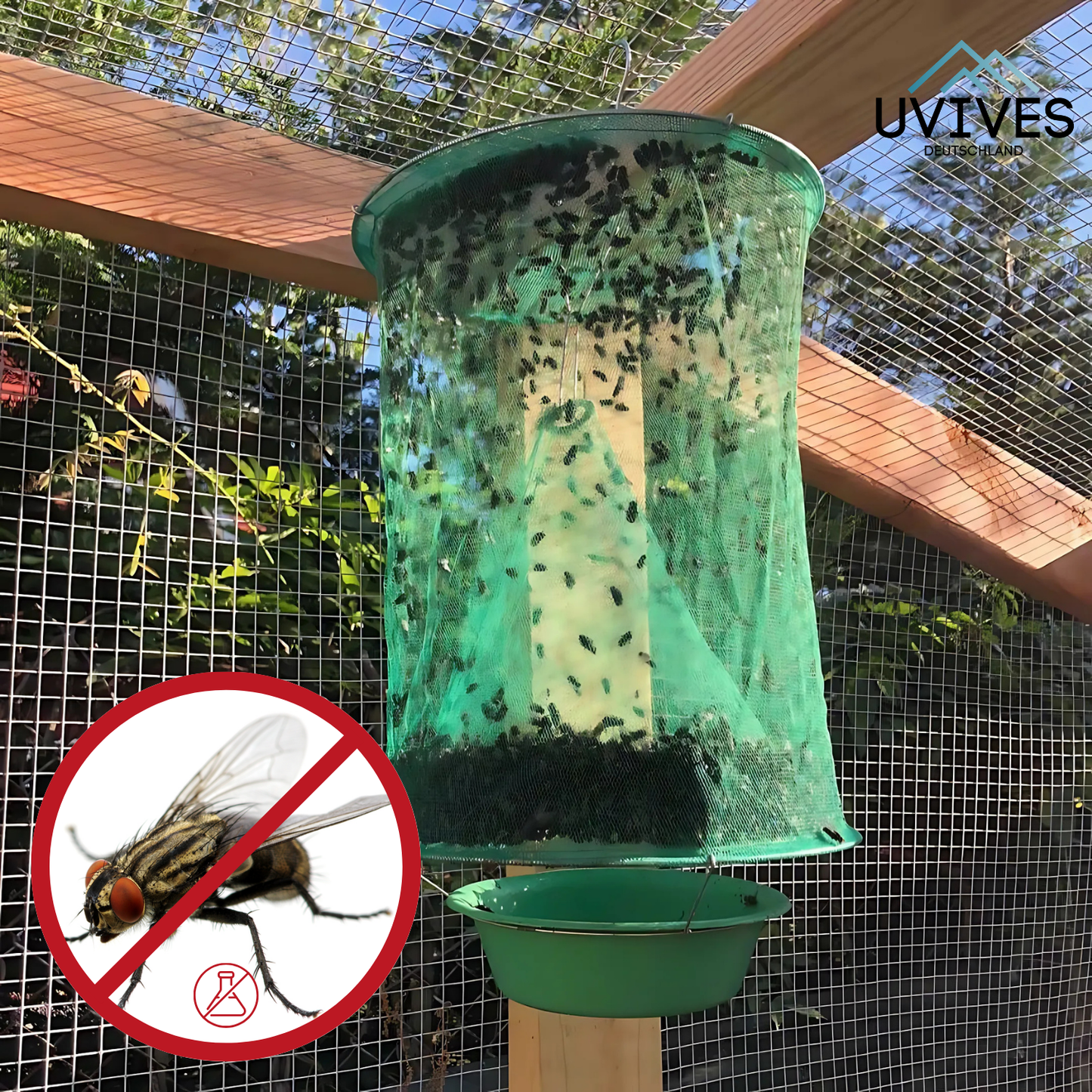 Carvallo – Slut med flugor i trädgården och huset