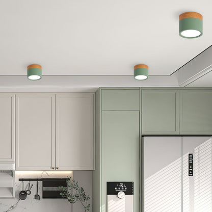 LED Taklampa Modern Flush Mount Cylinder