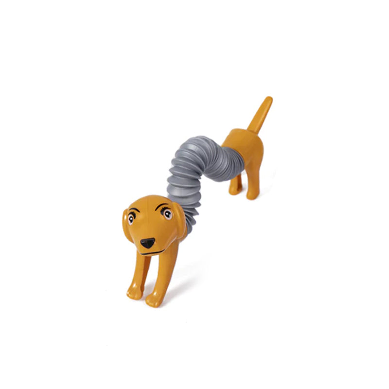 Carvallo – Timslångt spelande utan tristess