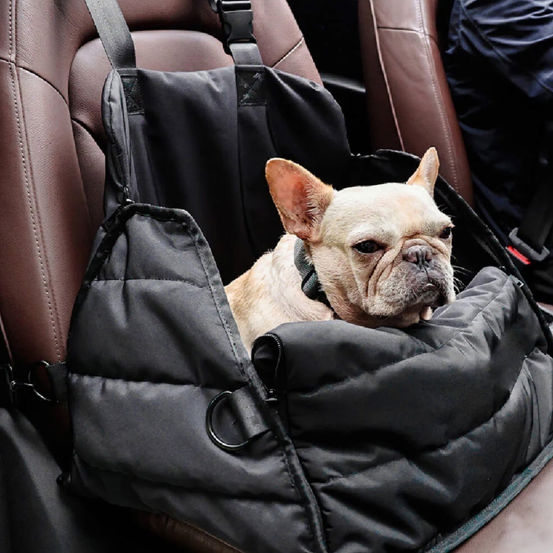 Mångsidig Hund Bilstolsbag – Resa, Förvaring &amp; Campingmatta i Ett