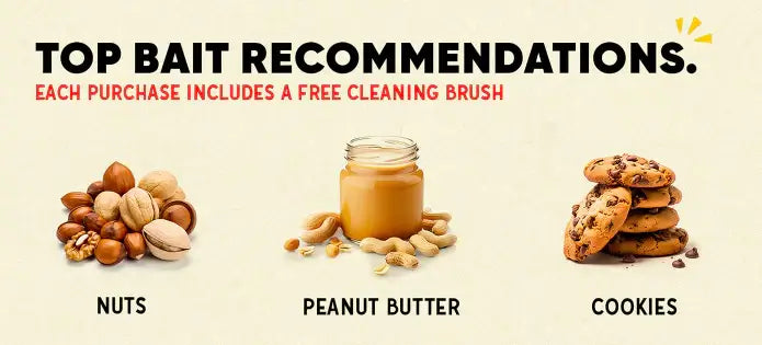 Royallure Human Musfälla 4-Pack – Ingen beröring, Barn & Husdjursäker, Enkel installation