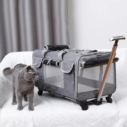 Kattbärare med hjul Stor Fällbar Väska