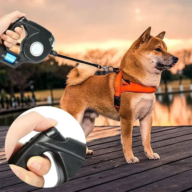 ÉclairaPaw - LED Retractable Leash for Safe Walks