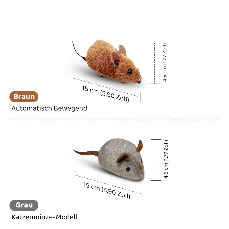 Carvallo | PawChase – Jaga, spela, jaga kul för din katt!