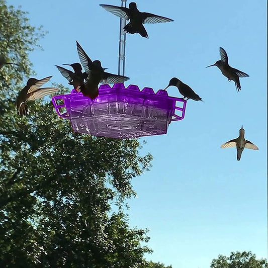 Kolibri Matare Röd Plast Hängande Fågelmatare