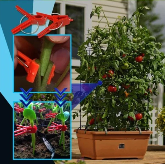 Plastmaterial Förädlingsklipp för trädgårdsväxter - Ideal för grönsaker och växtvård