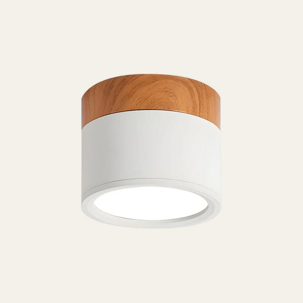 LED Taklampa Modern Flush Mount Cylinder