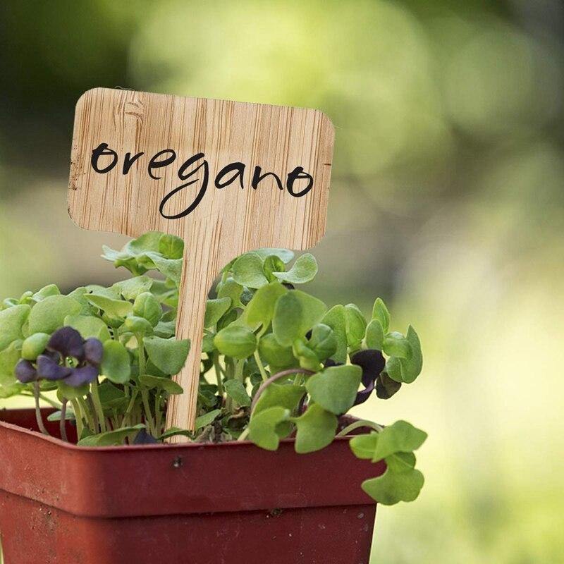 Carvallo – Växtskyltar av bambu för trädgård & dekoration